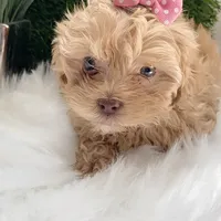 processed/a45a337c-74cd-42bf-a916-d1692b45e1db/facility/20228bd2-24e8-466c-81ab-baf7a3314249