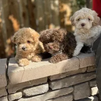 processed/a45a337c-74cd-42bf-a916-d1692b45e1db/facility/2ca7ac86-7551-40f6-b4f5-a9abf62092c6