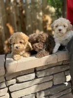 processed/a45a337c-74cd-42bf-a916-d1692b45e1db/facility/2ca7ac86-7551-40f6-b4f5-a9abf62092c6