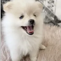 processed/a45a337c-74cd-42bf-a916-d1692b45e1db/facility/3fd02bf1-9ffb-47c5-9417-cc24b71c810c