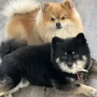 processed/a45a337c-74cd-42bf-a916-d1692b45e1db/facility/52b72d2e-c174-4519-ae45-4ec3e0dd571c