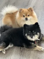 processed/a45a337c-74cd-42bf-a916-d1692b45e1db/facility/52b72d2e-c174-4519-ae45-4ec3e0dd571c