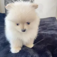 processed/a45a337c-74cd-42bf-a916-d1692b45e1db/facility/6c3388da-3639-469d-aea9-9979df953210