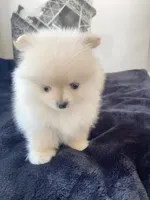 processed/a45a337c-74cd-42bf-a916-d1692b45e1db/facility/6c3388da-3639-469d-aea9-9979df953210