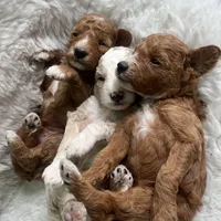 processed/a45a337c-74cd-42bf-a916-d1692b45e1db/facility/991336d6-c8e9-4ae5-9897-23dbb8685998