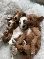 processed/a45a337c-74cd-42bf-a916-d1692b45e1db/facility/991336d6-c8e9-4ae5-9897-23dbb8685998