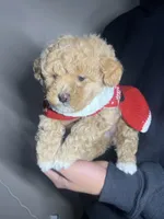 processed/a45a337c-74cd-42bf-a916-d1692b45e1db/listing/fcab61f1-bd89-46de-9cfc-5104d0a3a2e8/4b007370-0b76-4a33-80f9-ea6ce3590146