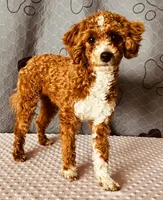 processed/a45af237-e960-4b91-be59-c00abb1e0191/listing/cde31e23-5066-4e0d-a955-9fc76f168c7f/a7b29486-5dbf-44a7-85f1-345baebbafc5