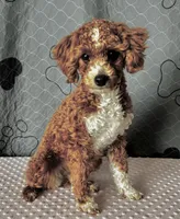 processed/a45af237-e960-4b91-be59-c00abb1e0191/listing/cde31e23-5066-4e0d-a955-9fc76f168c7f/b4b04ba5-44e7-4e3c-a154-d97f4337538e