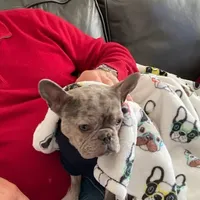 processed/a45dcef5-9192-4134-b4ed-230426c9463d/facility/13b8a9e5-4f88-4cb4-b9b9-5b56b33aec91