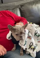 processed/a45dcef5-9192-4134-b4ed-230426c9463d/facility/13b8a9e5-4f88-4cb4-b9b9-5b56b33aec91