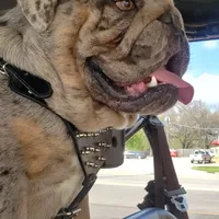 processed/a45dcef5-9192-4134-b4ed-230426c9463d/facility/295135fe-bee2-438f-8e51-8000625c4cc5