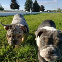 processed/a45dcef5-9192-4134-b4ed-230426c9463d/facility/40b7281c-caa4-47c0-b124-3c60e276cd8f