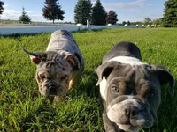 processed/a45dcef5-9192-4134-b4ed-230426c9463d/facility/40b7281c-caa4-47c0-b124-3c60e276cd8f