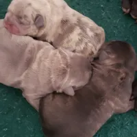 processed/a45dcef5-9192-4134-b4ed-230426c9463d/facility/5c80b1a9-d991-435a-9bd9-e5c0482a7b32