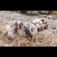 processed/a45dcef5-9192-4134-b4ed-230426c9463d/facility/762c6f0a-0b27-426c-a009-b1fc738b40ef