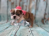 processed/a45dcef5-9192-4134-b4ed-230426c9463d/listing/73d19e72-e5df-4d17-a348-94d974cc56b6/41f9169c-5ca1-45f8-946c-bf7194d839e7