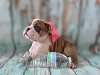 processed/a45dcef5-9192-4134-b4ed-230426c9463d/listing/73d19e72-e5df-4d17-a348-94d974cc56b6/42e12693-2366-40ad-966a-8226d90cc1dc