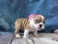 processed/a45dcef5-9192-4134-b4ed-230426c9463d/listing/73d19e72-e5df-4d17-a348-94d974cc56b6/7220de91-1d56-4079-8c09-3571dd78c5dd