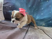 processed/a45dcef5-9192-4134-b4ed-230426c9463d/listing/73d19e72-e5df-4d17-a348-94d974cc56b6/7325197d-e4c0-478a-bff6-3b19555736a6