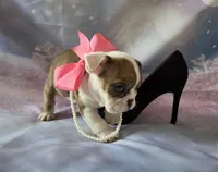 processed/a45dcef5-9192-4134-b4ed-230426c9463d/listing/73d19e72-e5df-4d17-a348-94d974cc56b6/798667cb-49b8-448b-85f4-b17b60c46a78