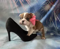 processed/a45dcef5-9192-4134-b4ed-230426c9463d/listing/73d19e72-e5df-4d17-a348-94d974cc56b6/871105c3-2208-4db6-8c5e-6849dfe91484