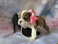 processed/a45dcef5-9192-4134-b4ed-230426c9463d/listing/73d19e72-e5df-4d17-a348-94d974cc56b6/a1dd948b-b330-4e1b-8a4e-6719af87d5e5