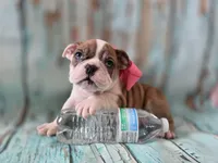 processed/a45dcef5-9192-4134-b4ed-230426c9463d/listing/73d19e72-e5df-4d17-a348-94d974cc56b6/b9b12701-26da-4185-9444-9cdbc3486abb