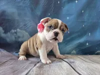 processed/a45dcef5-9192-4134-b4ed-230426c9463d/listing/73d19e72-e5df-4d17-a348-94d974cc56b6/e1e369f9-765f-4e0d-bad6-d3d0af213f4e