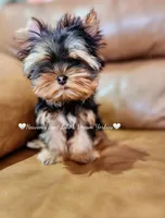 processed/a45ff51c-98f9-45fc-b816-2bad4e1ee60a/facility/00fc05f3-a756-4289-a3bf-bc488600d3cb