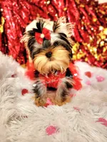 processed/a45ff51c-98f9-45fc-b816-2bad4e1ee60a/facility/381da912-dc1c-4f01-9b03-c40e3017946d