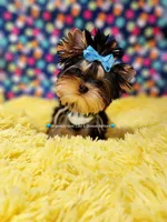 processed/a45ff51c-98f9-45fc-b816-2bad4e1ee60a/facility/3b1afc9f-b673-4aa3-b730-9368bfddadb7