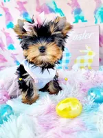 processed/a45ff51c-98f9-45fc-b816-2bad4e1ee60a/facility/579c69a2-63c9-4165-969a-8fe6bb41c0f3