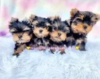 processed/a45ff51c-98f9-45fc-b816-2bad4e1ee60a/facility/694ecdd9-1028-47c0-a2cc-338f9651e535