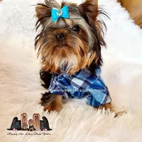 processed/a45ff51c-98f9-45fc-b816-2bad4e1ee60a/facility/7263d463-11fc-4ec0-b2a7-fd5dd736bf2f