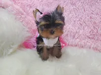 processed/a45ff51c-98f9-45fc-b816-2bad4e1ee60a/facility/f2f0d1e1-9c8e-4870-a7f8-1156621bb0cf