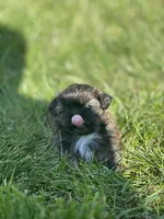 processed/a4602e70-433b-455b-b3b2-70c6190c0aa8/facility/34d665a9-b3e5-49a6-af8b-9f12cd358b42