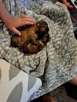 processed/a4602e70-433b-455b-b3b2-70c6190c0aa8/facility/6433bdf4-9106-4e16-97ac-54e54bc8f397