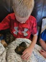 processed/a4602e70-433b-455b-b3b2-70c6190c0aa8/facility/811c6290-c7be-4268-9086-1ba4e371b870