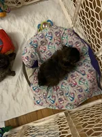 processed/a4602e70-433b-455b-b3b2-70c6190c0aa8/facility/89135c5e-4833-4013-9d5b-8ddbe69b05b5