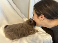 processed/a4602e70-433b-455b-b3b2-70c6190c0aa8/facility/b916b535-5e12-486b-84d1-7a9240def657