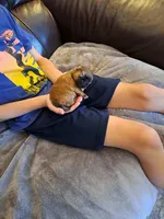 processed/a4602e70-433b-455b-b3b2-70c6190c0aa8/facility/e19c9e3e-7186-4936-8565-c2ab98e2fc7f