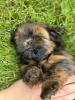 processed/a4602e70-433b-455b-b3b2-70c6190c0aa8/facility/e8671d7f-11ba-4a95-a30c-39c8ce1c7224