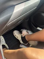 Marlo, a male Chihuahua and Poodle - Toy  for sale in Los Angeles, CA – Photo 3 of 4