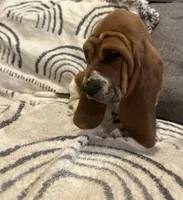 processed/a4796fd4-a965-4e13-bcaf-56f12814d465/listing/16005c3d-2bdb-49e5-b1be-7804457b2998/0af8eac0-e47a-4be9-a057-afb9e52c7328