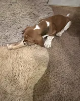 processed/a4796fd4-a965-4e13-bcaf-56f12814d465/listing/16005c3d-2bdb-49e5-b1be-7804457b2998/289f14d3-9239-4d58-b337-fae7d39bd4ac