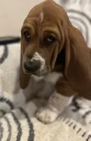 processed/a4796fd4-a965-4e13-bcaf-56f12814d465/listing/16005c3d-2bdb-49e5-b1be-7804457b2998/71d724fc-e395-4f06-be10-217e709e59a0