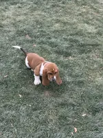 processed/a4796fd4-a965-4e13-bcaf-56f12814d465/listing/16005c3d-2bdb-49e5-b1be-7804457b2998/93eb3c76-76ed-4da4-8768-610e8e3e6d9d