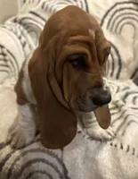 processed/a4796fd4-a965-4e13-bcaf-56f12814d465/listing/16005c3d-2bdb-49e5-b1be-7804457b2998/d287ca0d-b38c-4a51-95fc-73c8725c7aaf