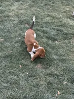 processed/a4796fd4-a965-4e13-bcaf-56f12814d465/listing/16005c3d-2bdb-49e5-b1be-7804457b2998/e370f678-4f71-45f1-b7e1-eb196a739d77